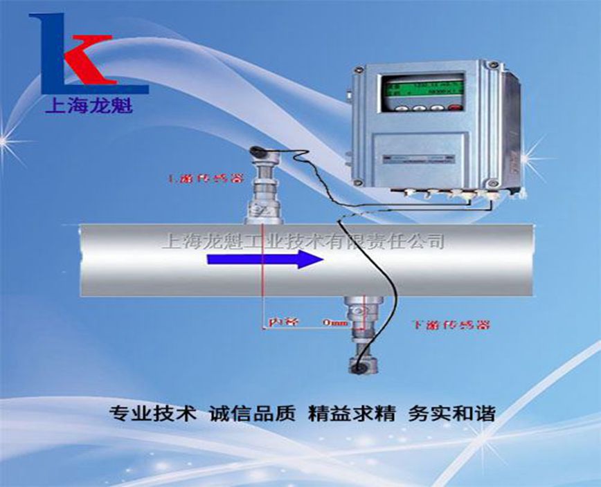 上海TDS型插入式超聲波流量計